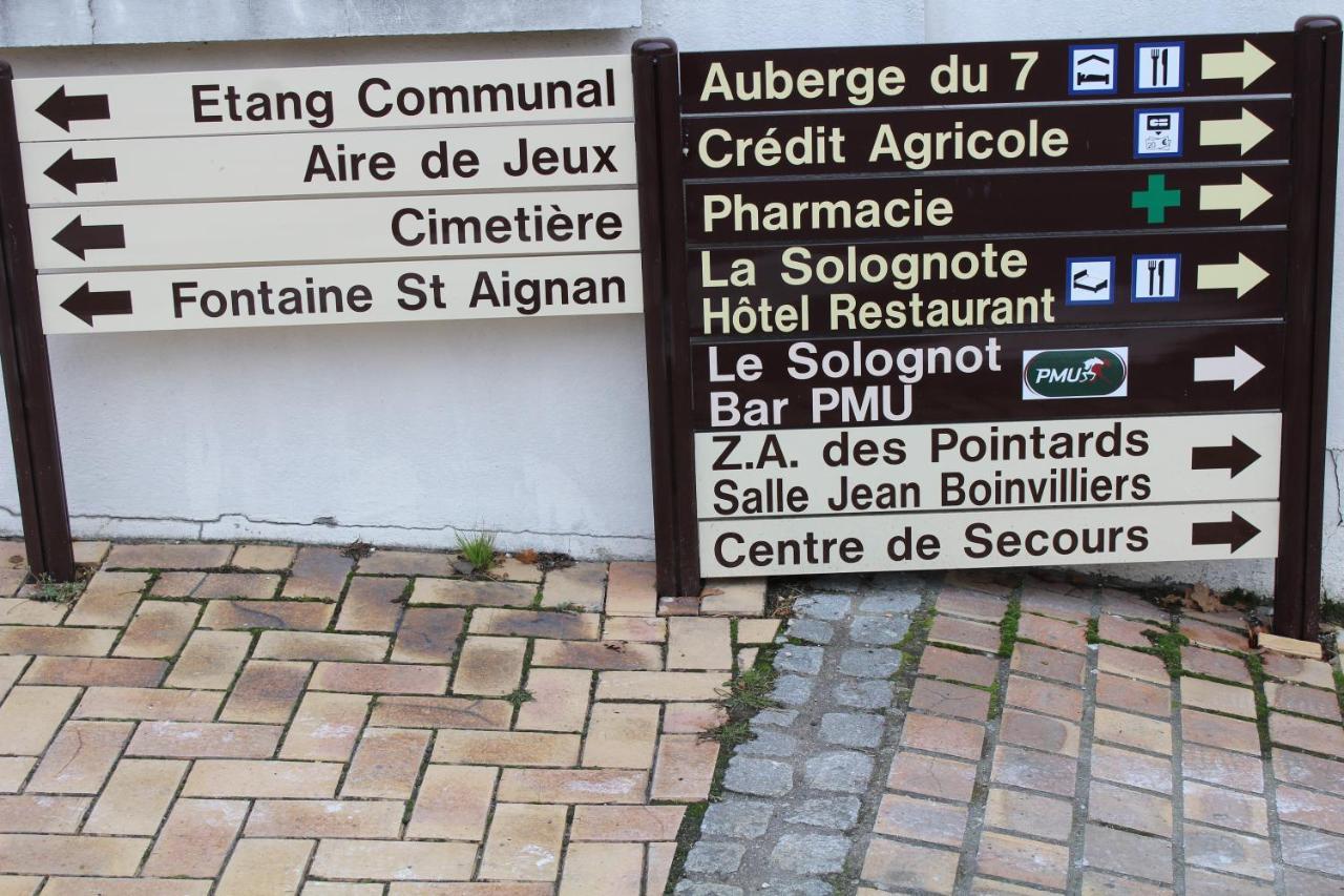 Brinon-sur-Sauldre Chez Santiaヴィラ エクステリア 写真